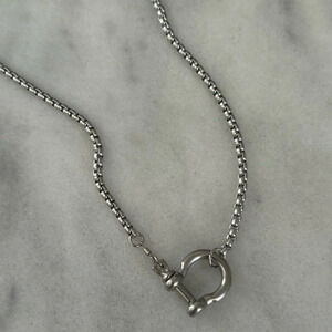 COPY - COPY - COPY - Silver Chunky Horse Bit Chain Necklace

Brand New